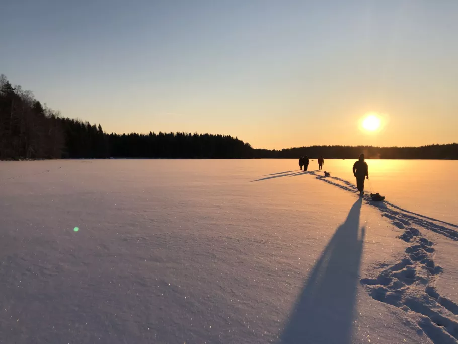 talviaurinko